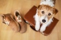 Cute dog waiting on a retro suitcase with shoes, pet travel