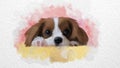 Cute dog watercolor illustration