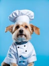 cute dog wearing chef hat and apron