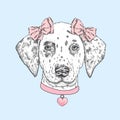 Cute dog wearing a collar with a heart and two bows. Beautiful dalmatian painted by hand. Vector illustration for a card or poster