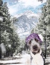 Cute Dog in Winter Holiday Scene Royalty Free Stock Photo