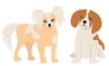 cute doggies flat design, isolated