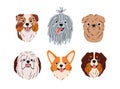 Cute dogs avatars set. Doggies heads, canine face portraits. Funny adorable puppies, animals of different breeds. Corgi