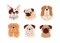 Cute dogs avatars set. Funny puppies, doggies faces, heads portraits. Adorable muzzles, snouts of different canine