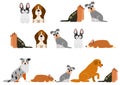 Cute dogs border set Royalty Free Stock Photo