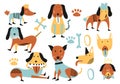 Cute dogs. Childish animal seamless pattern cartoon vector illustration. Can be used as a background, nursery wallpaper, wrapping