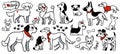 Cute dogs of different breeds collection in doodle cartoon style. Black and white contoured with red bright elements Royalty Free Stock Photo