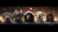 cute dogs of different breeds in New Year\'s hats. Banner with animals with a festive theme.