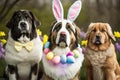 Cute dogs in an Easter Bunny Ears Costume.