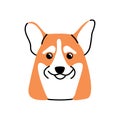 Cute dogs face avatar. Adorable doggy head portrait. Puppy snout of Corgi breed. Lovely funny pups muzzle. Purebred