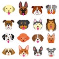 Cute dogs faces art set