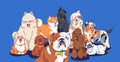 Cute dogs group portrait. Happy doggies, puppies of different breeds posing together. Funny canine animals gang with