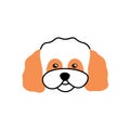 Cute dogs head avatar. Adorable doggy face portrait. Maltipoo breed puppy snout. Lovely pups muzzle. Happy canine animal