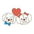 cute dogs heads couple lovers with hearts characters