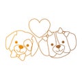 cute dogs heads couple lovers with hearts characters