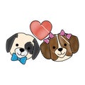 cute dogs heads couple lovers with hearts characters