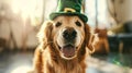 Cute Dogs with Leprechaun Hats, St. Patrick\'s Day