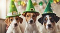 Cute Dogs with Leprechaun Hats, St. Patrick\'s Day