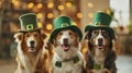 Cute Dogs with Leprechaun Hats, St. Patrick\'s Day