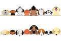 Cute dogs looking up and down border set