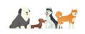 Cute dogs - modern vector cartoon characters illustration