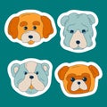 Cute dogs muzzle sticker set. Doodle color funny puppy faces. Dog heads. Different popular dog breeds