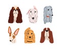 Cute dogs muzzles, head portraits set. Puppy snouts avatars. Doggies faces of different canine breeds. Adorable Afghan