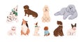 Cute dogs, puppies of different breeds set. Canine animals, diverse big and little doggies. Poodle, dachshund, dalmatian