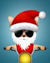 Cute Dogs Santa on a chopper. Christmas concept