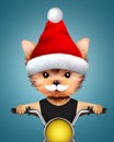 Cute Dogs Santa on a chopper. Christmas concept Royalty Free Stock Photo