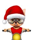 Cute Dogs Santa on a chopper. Christmas concept Royalty Free Stock Photo