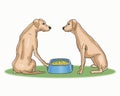 Cute dogs share food cartoon