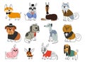 Cute dogs in suit vector set