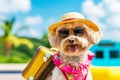 Cute dogs in sunglasses with suitcase and straw hat. Funny vacation and travel concept. Lovable, pretty dogs. Travel preparation