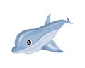 cute dolphin cartoon icon on white backgroound Royalty Free Stock Photo