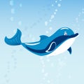 Cute dolphins aquatic marine nature ocean blue mammal sea water wildlife animal vector illustration.