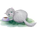 A cute domestic cat eats croquettes from a bowl. Watercolor composition