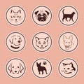 Cute domestic cats and dogs collection as stickers set Royalty Free Stock Photo