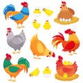 Cute domestic chicken. Farm breeding hen, poultry rooster and chickens with chick. Hens cartoon vector set Royalty Free Stock Photo