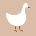 Cute domestic goose isolated on beige background. Vector illustration Royalty Free Stock Photo