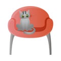 Cute domestic grey cat character sitting on the soft red chair. Vector illustration in flat cartoon style Royalty Free Stock Photo