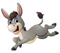 Cute donkey cartoon running Royalty Free Stock Photo