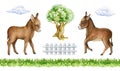 Cute donkey, farm elements hand drawn set. Watercolor illustration. Realistic donkey farm animal side view, oak tree