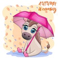 Cute donkey with umbrella, autumn is coming theme Royalty Free Stock Photo