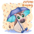 Cute donkey with umbrella, autumn is coming theme Royalty Free Stock Photo