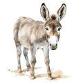 Cute donkey watercolor illustration, animals and farm clipart