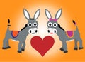 Cute donkeys in love