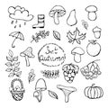 Cute doodle autumn set with acorns, rowan berriesand autumn leaves, forest mushrooms, fruits, boots, basket, clouds, umbrella. Royalty Free Stock Photo