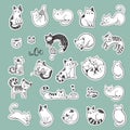 Cute doodle cats with different emotions. Royalty Free Stock Photo