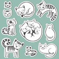 Cute doodle cats with different emotions. Royalty Free Stock Photo